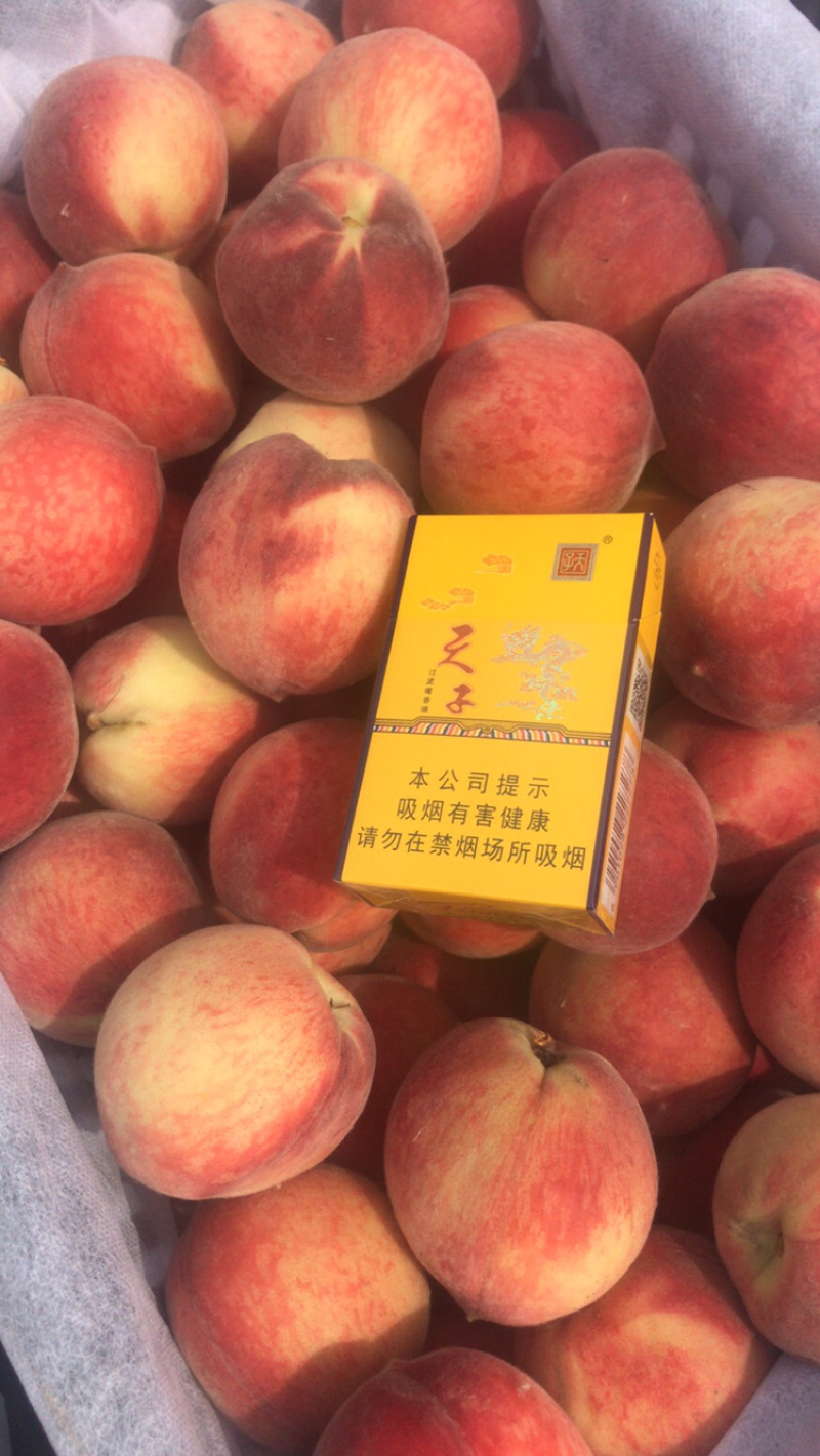毛桃，红桃，红不软五月桃现已大量上市666