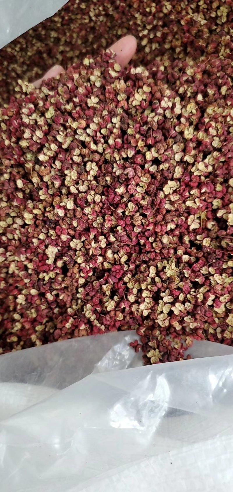 韩城大红袍花椒新货，山东花椒，茂文红麻椒，重庆青麻椒