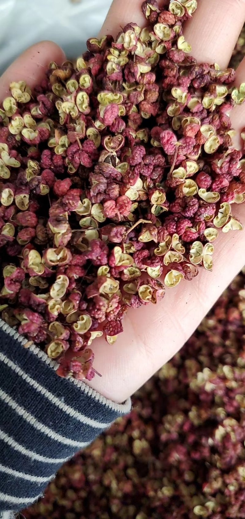 韩城大红袍花椒新货，山东花椒，茂文红麻椒，重庆青麻椒