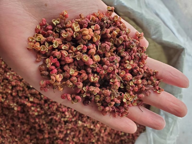 韩城大红袍花椒新货，山东花椒，茂文红麻椒，重庆青麻椒