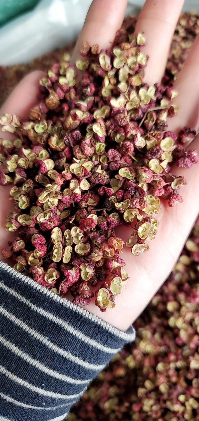 韩城大红袍花椒新货，山东花椒，茂文红麻椒，重庆青麻椒