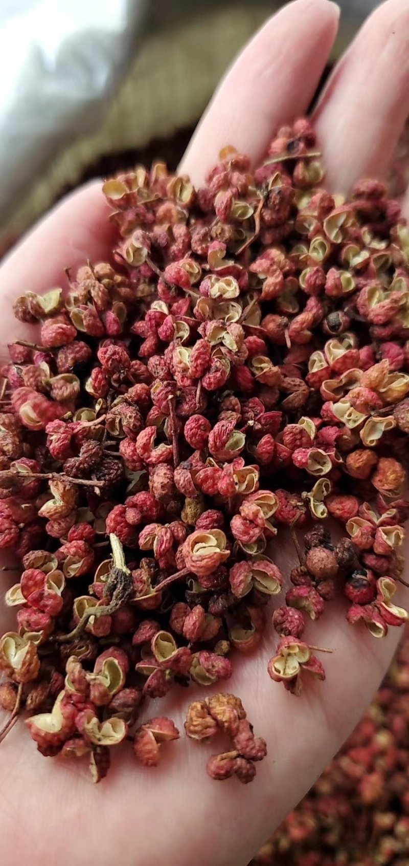 韩城大红袍花椒新货，山东花椒，茂文红麻椒，重庆青麻椒