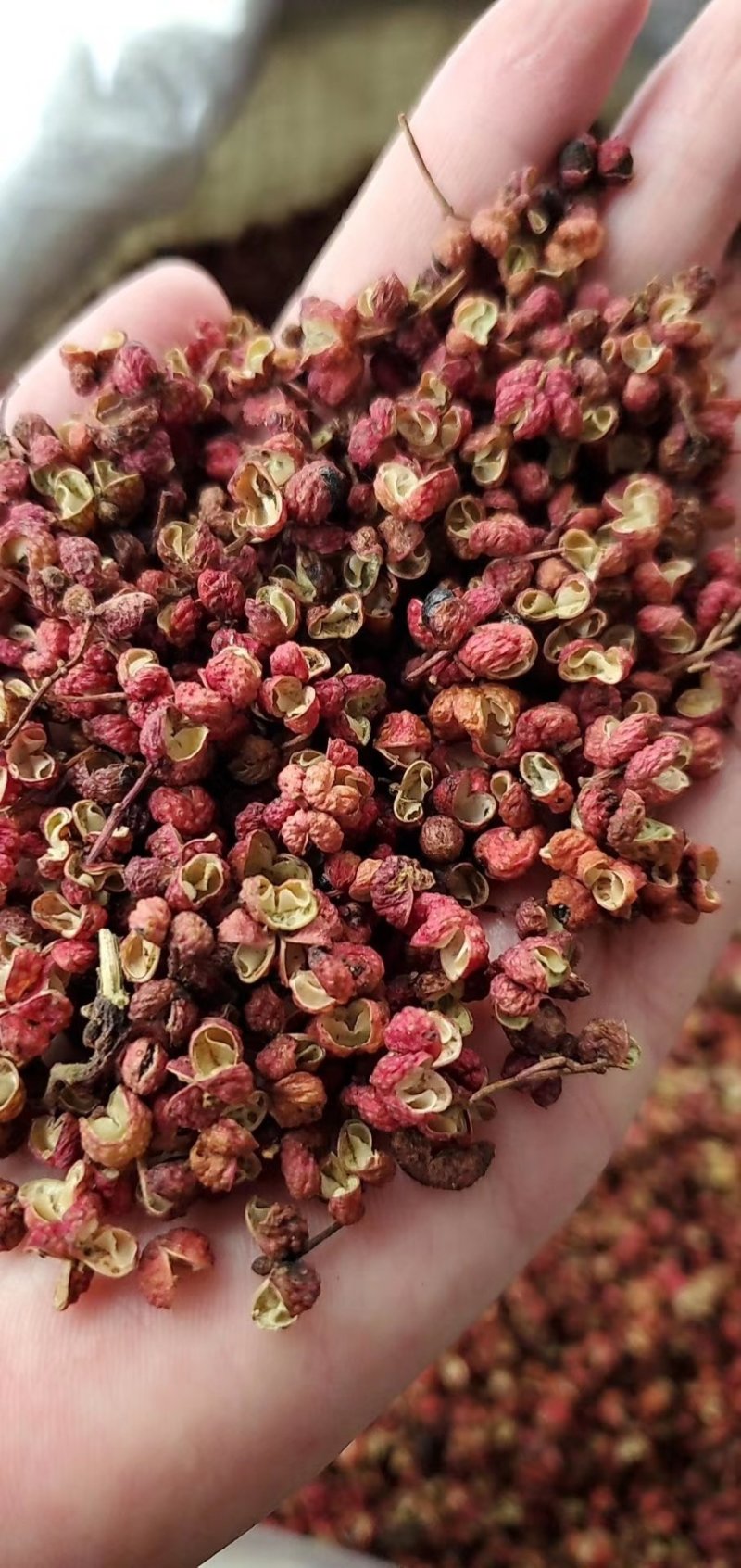 韩城大红袍花椒新货，山东花椒，茂文红麻椒，重庆青麻椒