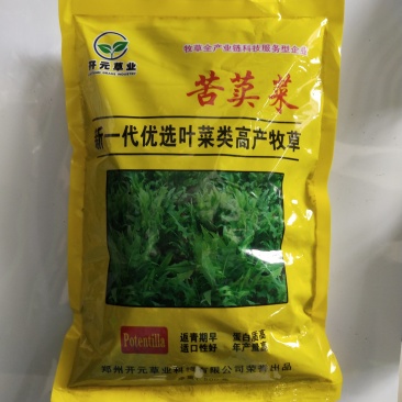 苦荬菜种子牧草种子多年生种子养殖猪鸡鸭鹅牧草品种
