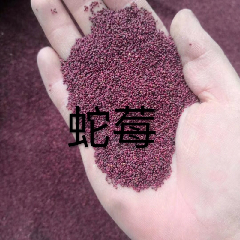 蛇苺（当年新采，只做品质，良心做人）
