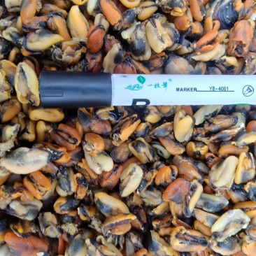 海虹干，干度特别好新货到家有大量现货，支持一件代发