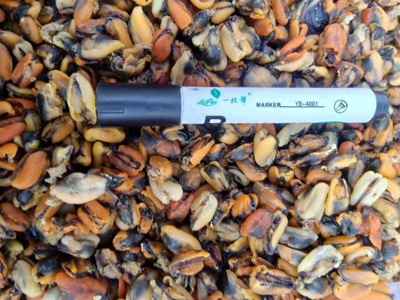海虹干，干度特别好新货到家有大量现货，支持一件代发