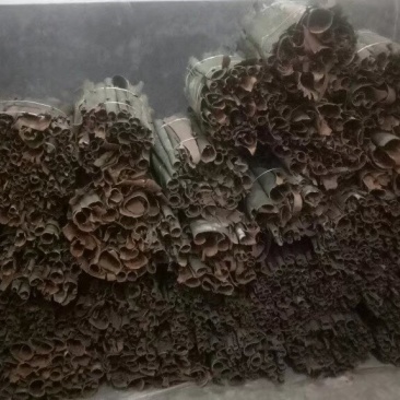 紫香桂皮
