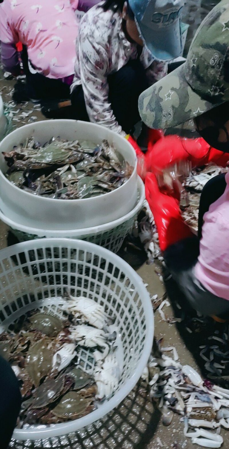 鲜活冷冻梭子蟹大公蟹大全母蟹冰冻大螃蟹海鲜三角蟹飞蟹
