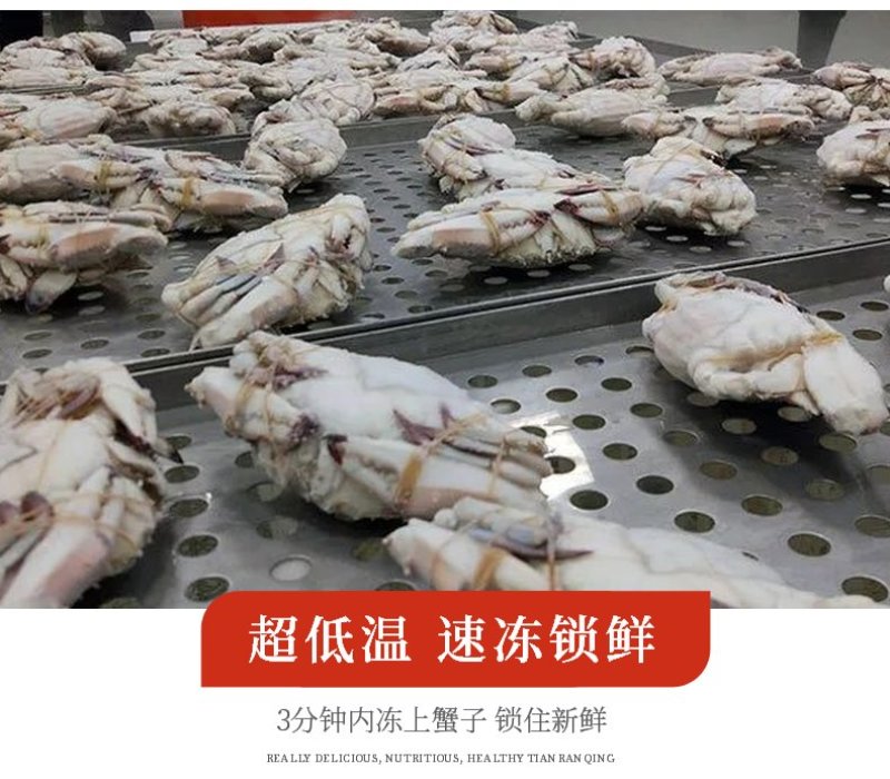 鲜活冷冻梭子蟹大公蟹大全母蟹冰冻大螃蟹海鲜三角蟹飞蟹