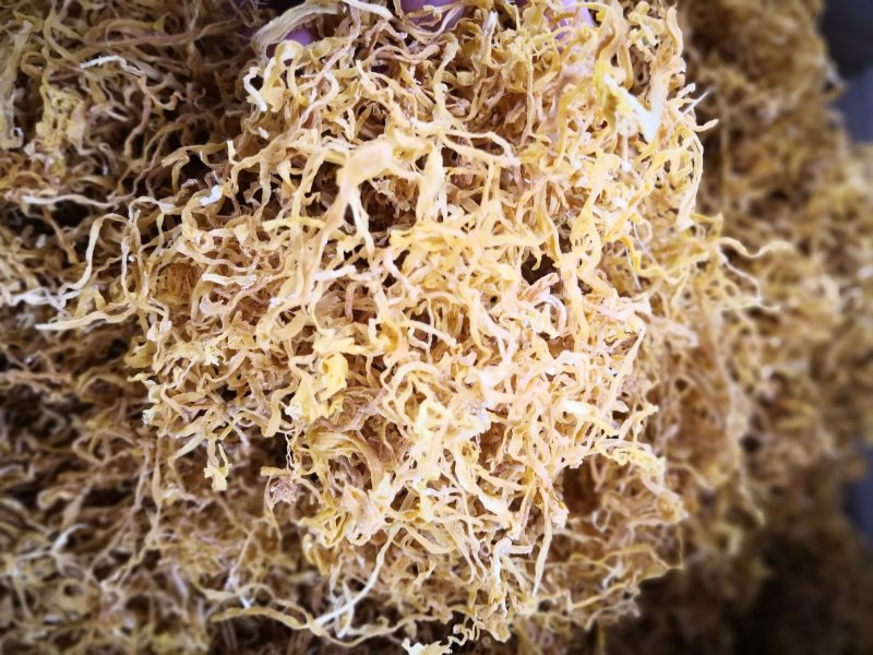 笋干～水煮淡笋干（绿色无添加，日晒山笋干）