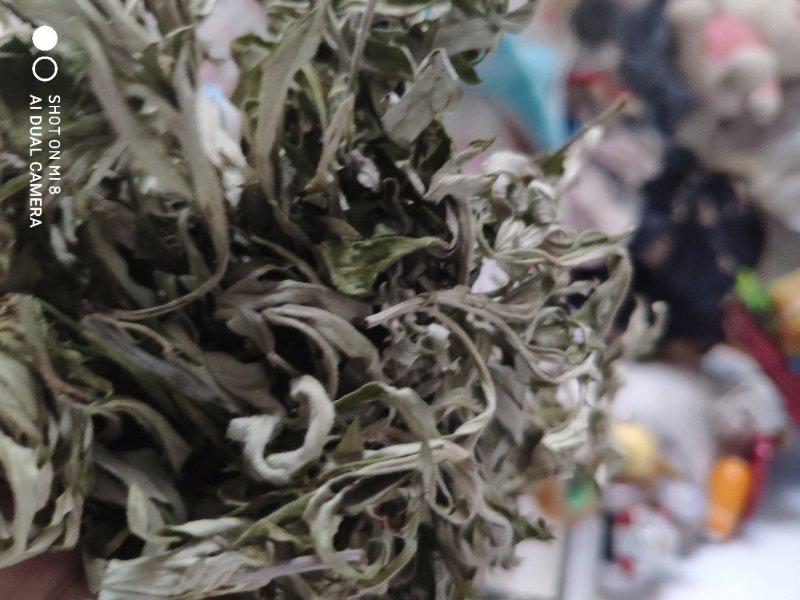 艾叶，纯野生，全叶。小艾叶，量大优惠