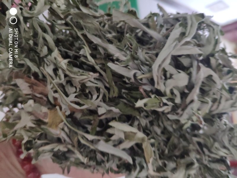艾叶，纯野生，全叶。小艾叶，量大优惠