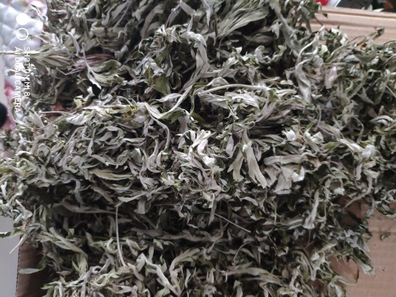艾叶，纯野生，全叶。小艾叶，量大优惠