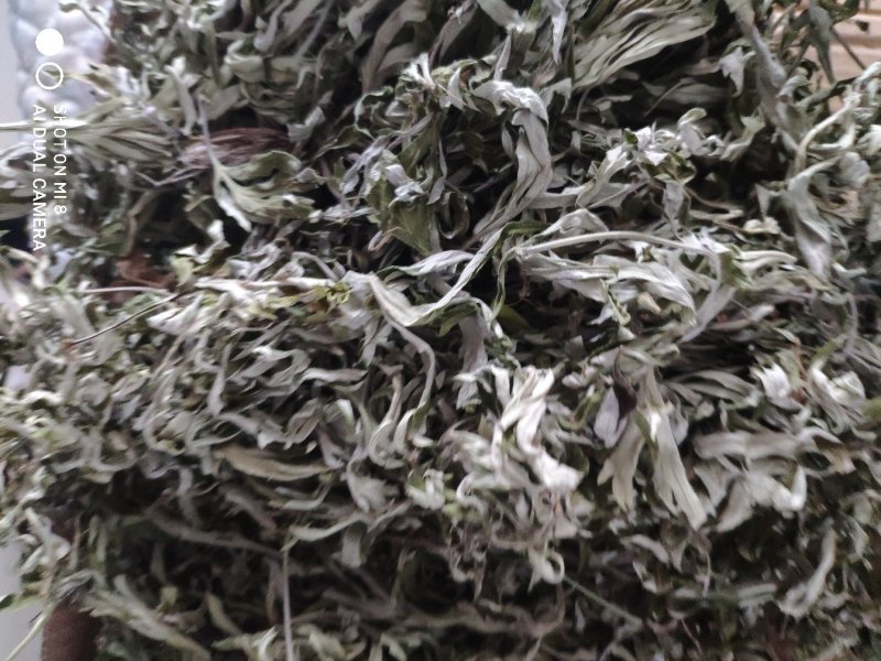 艾叶，纯野生，全叶。小艾叶，量大优惠