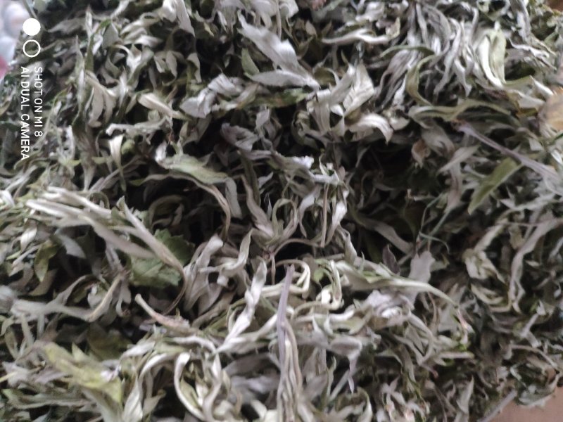 艾叶，纯野生，全叶。小艾叶，量大优惠