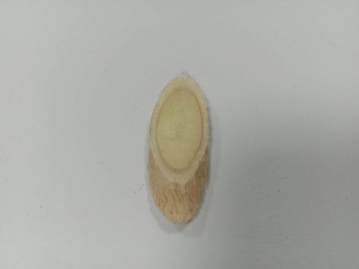 红景天与黄芪药材对比图