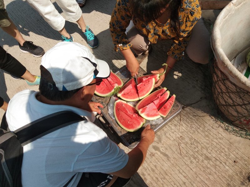 瓜甜品质好的麒麟瓜