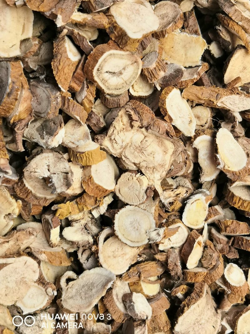 苦参中药材！规格其全大量批发一手货源价格优。