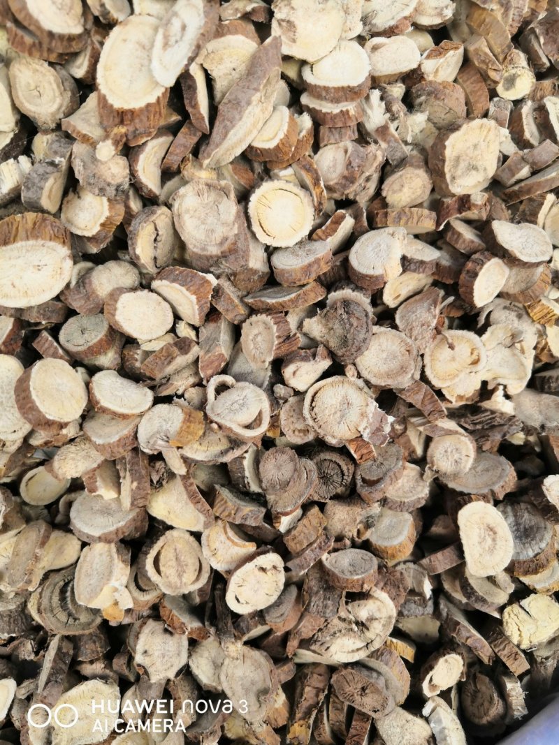 苦参中药材！规格其全大量批发一手货源价格优。