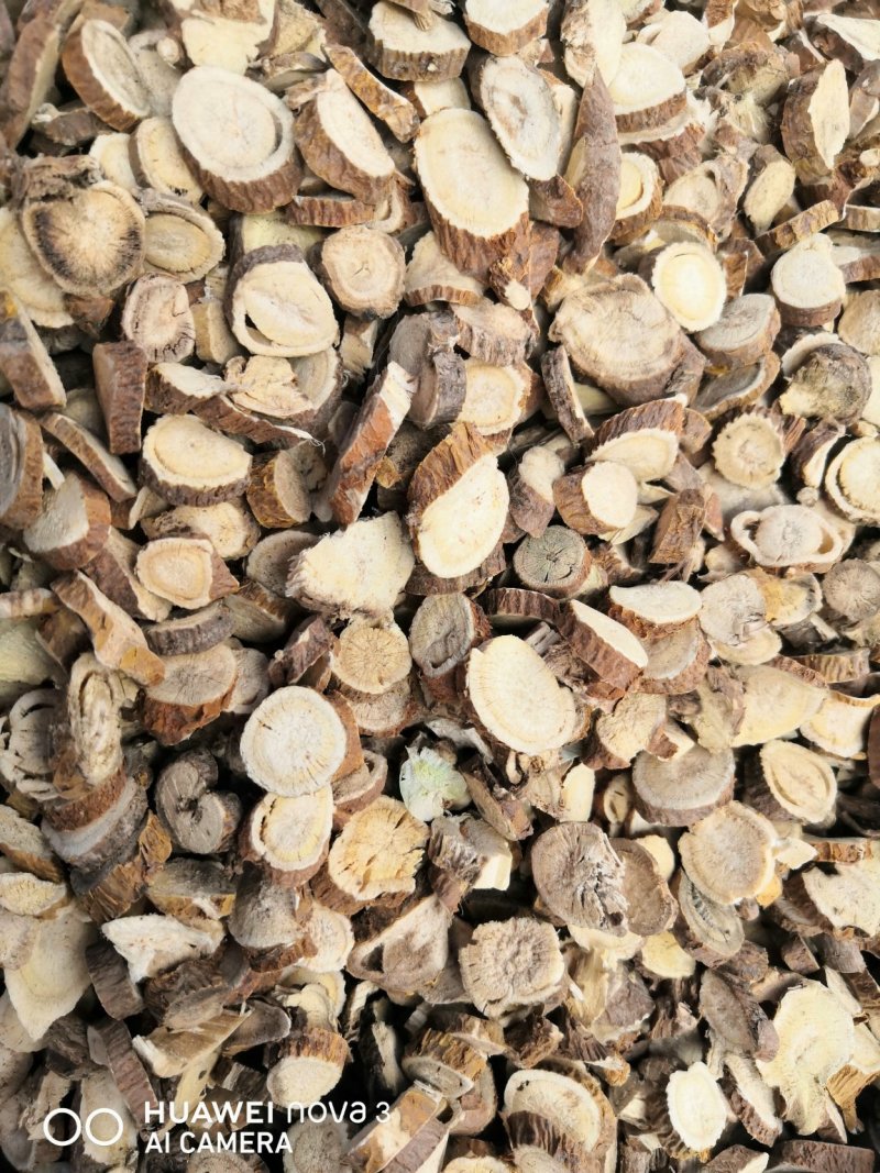 苦参中药材！规格其全大量批发一手货源价格优。