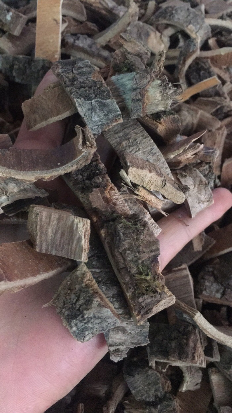 海桐皮海桐皮中药材批发量大包邮