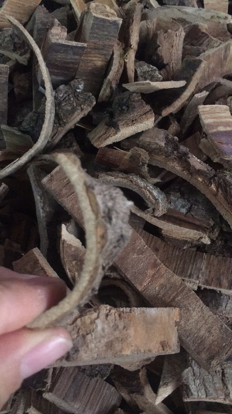 海桐皮海桐皮中药材批发量大包邮