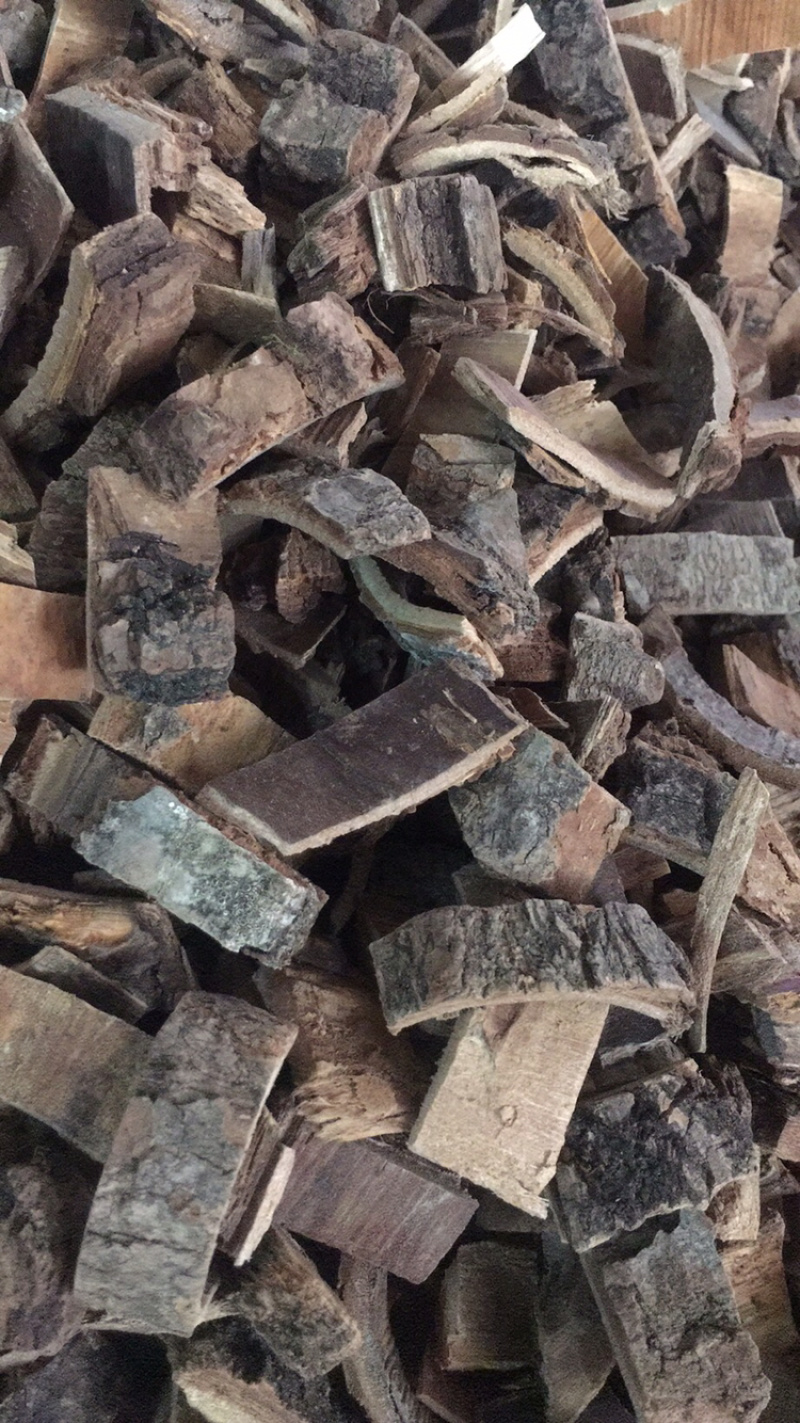 海桐皮海桐皮中药材批发量大包邮