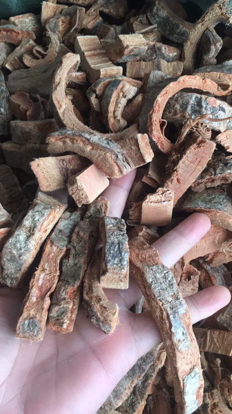 海桐皮海桐皮中药材批发量大包邮