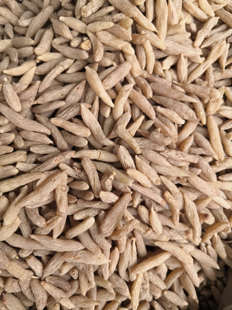 麦冬产中药材！地直销一手货源价格优！量大包邮。