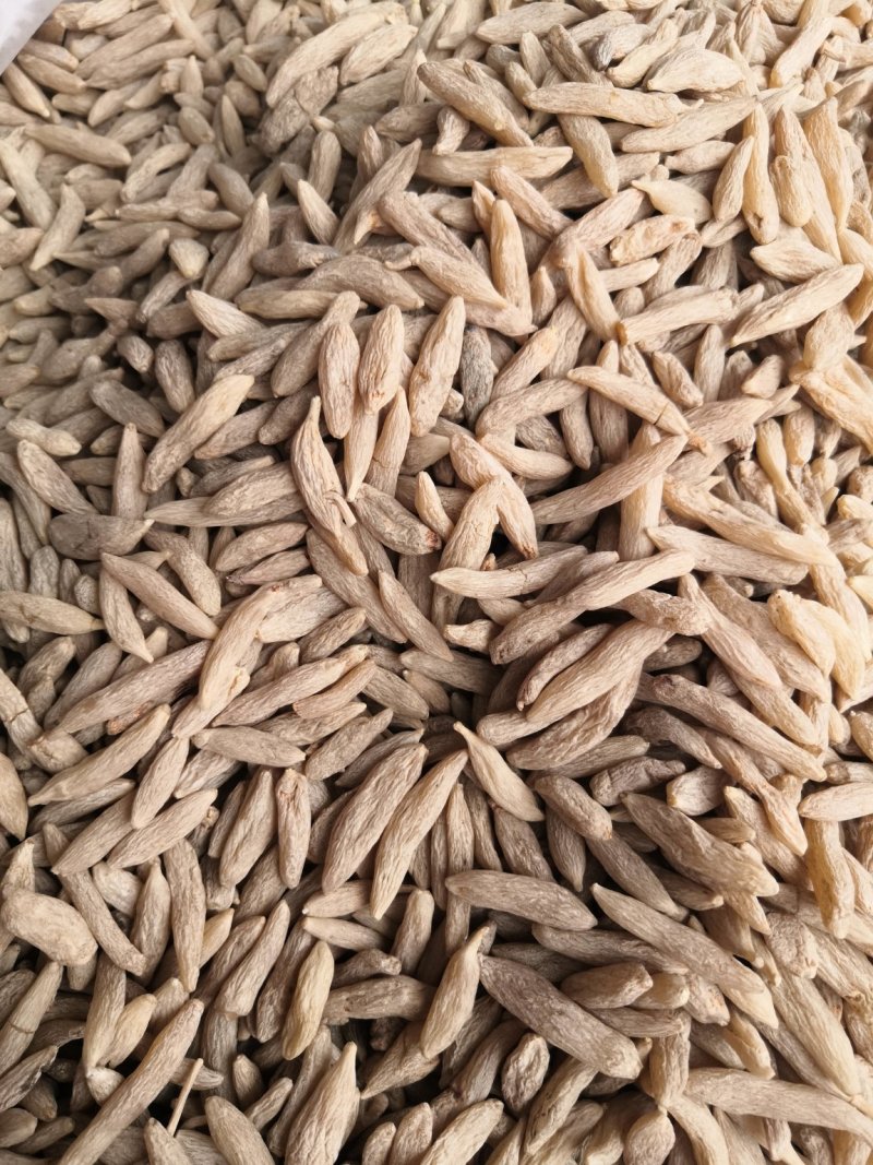 麦冬产中药材！地直销一手货源价格优！量大包邮。