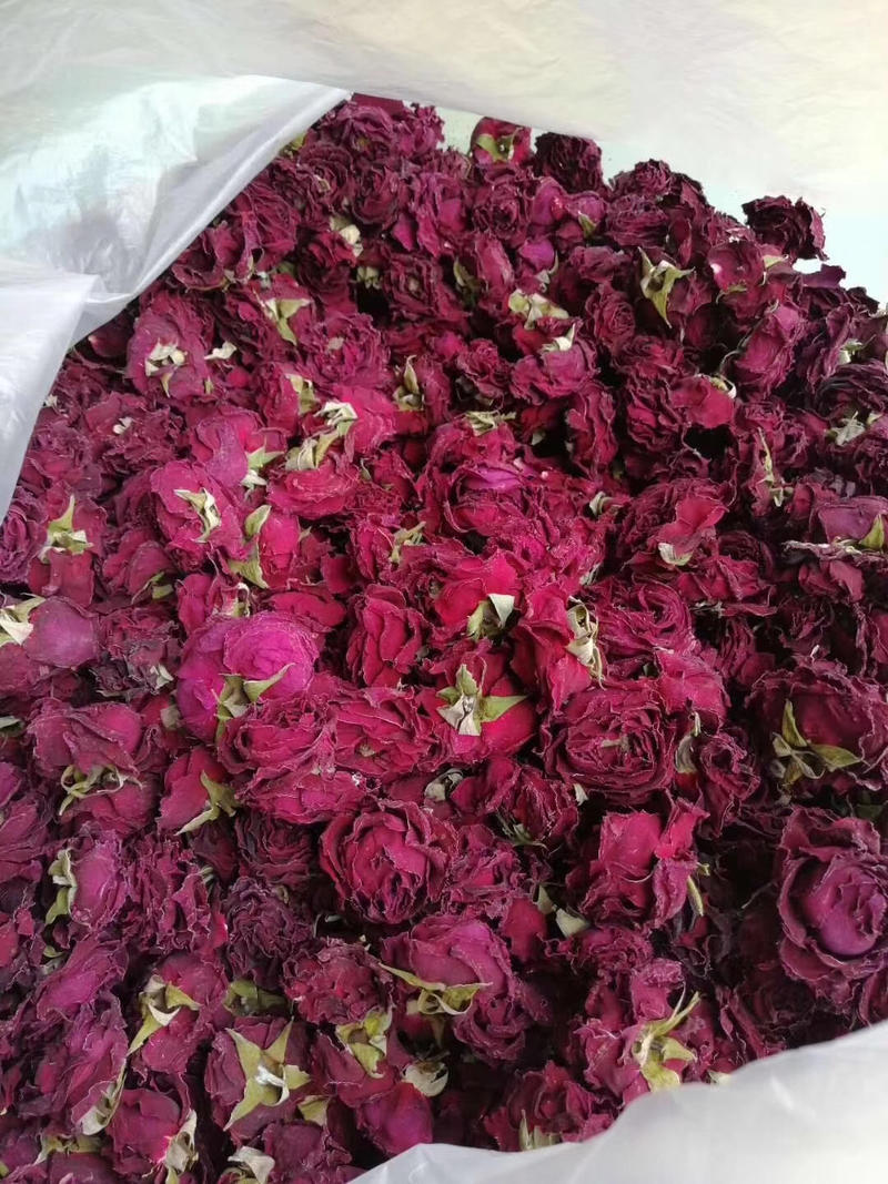 墨红玫瑰，花朵大，颜色好，包邮，可视频看货