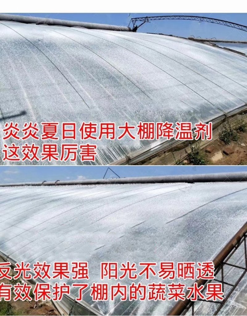 大棚降温剂立凉温室蔬菜防晒剂大棚降温遮阳涂料