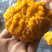 金耳菌大量出货