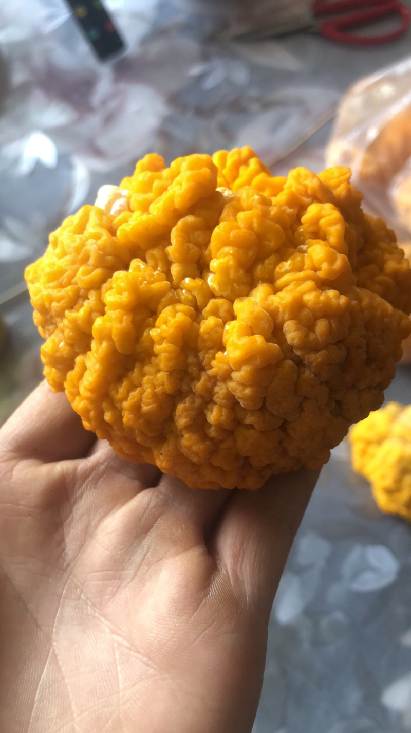金耳菌大量出货