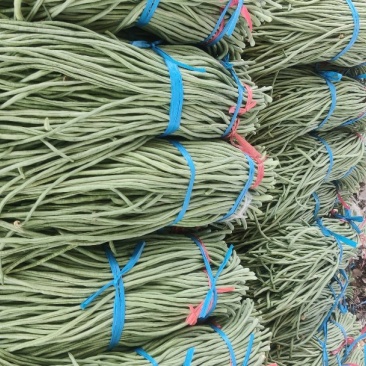 大量供应山东莘县长豆角，产地直发，代发全国