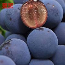 夏黑葡萄新鲜脆甜无籽黑提孕妇水果1.5-2斤