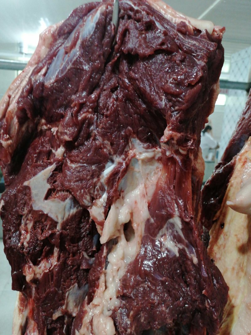 带皮鲜马肉精修去油纯干不注水