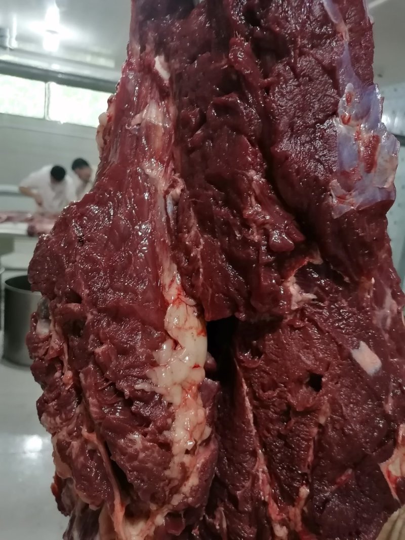 带皮鲜马肉精修去油纯干不注水