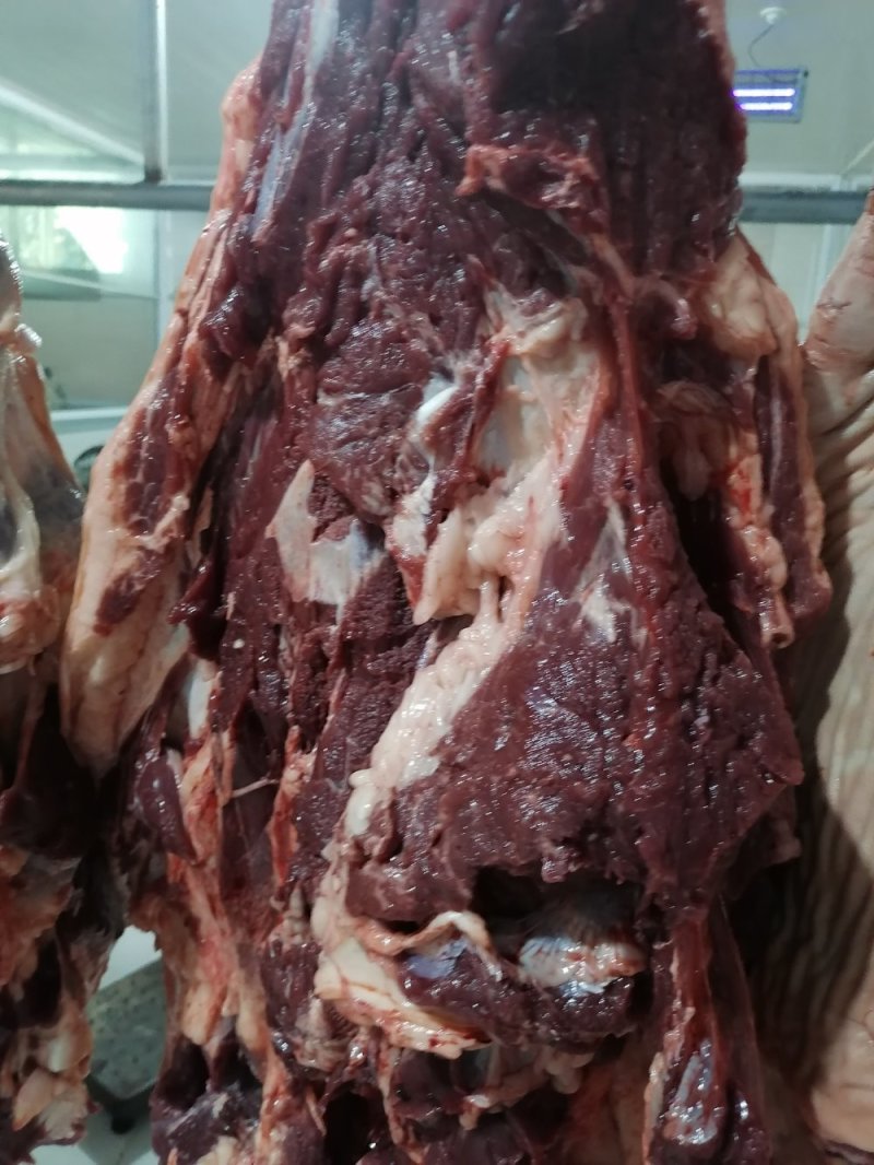 带皮鲜马肉精修去油纯干不注水