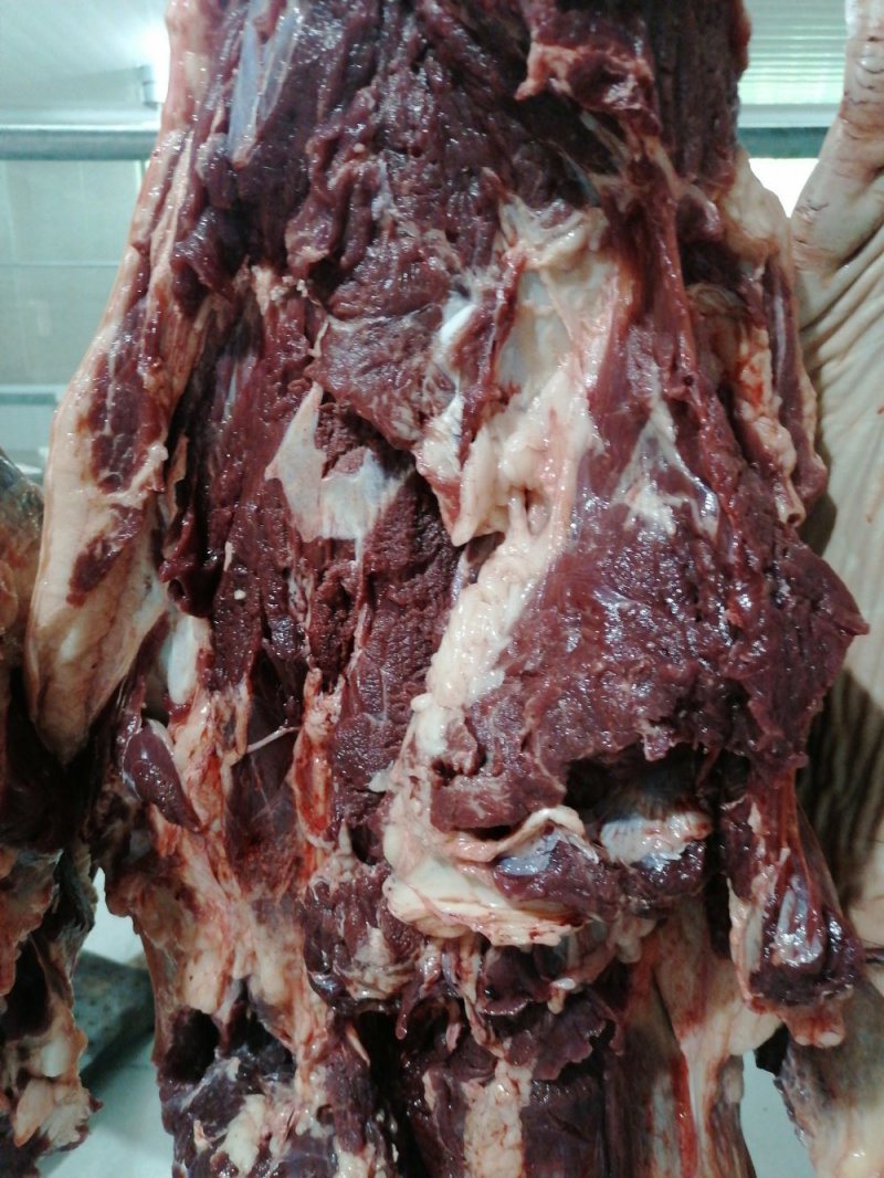带皮鲜马肉精修去油纯干不注水