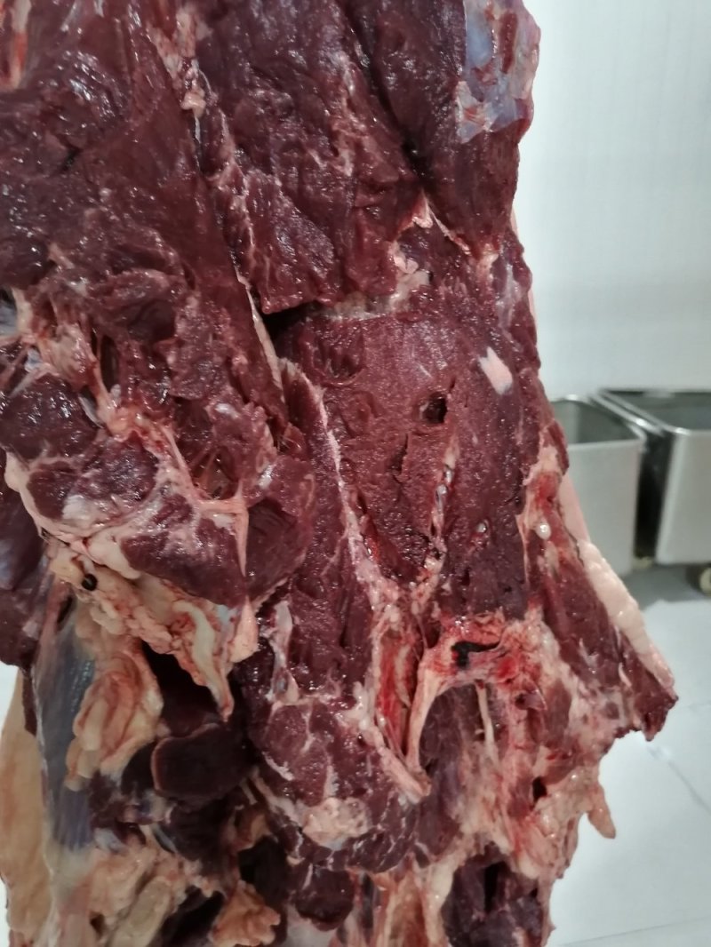 带皮鲜马肉精修去油纯干不注水