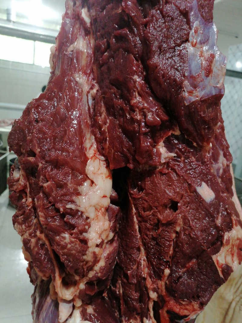 带皮鲜马肉精修去油纯干不注水