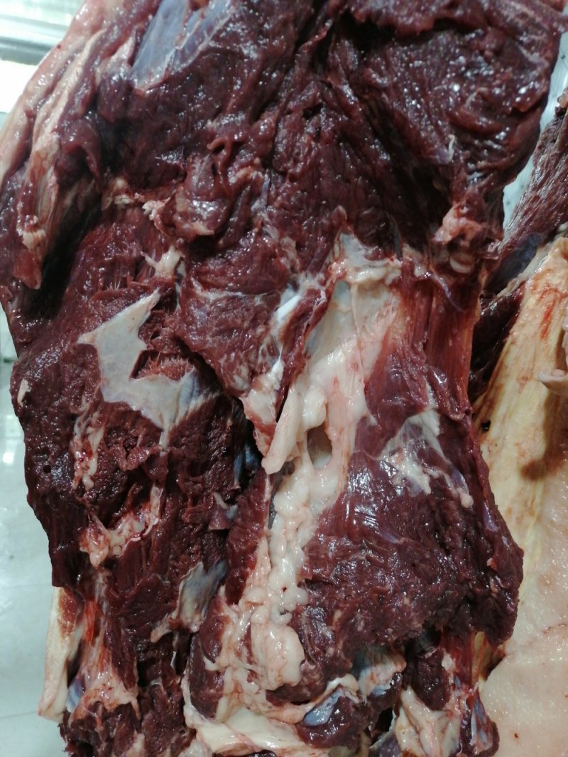 带皮鲜马肉精修去油纯干不注水