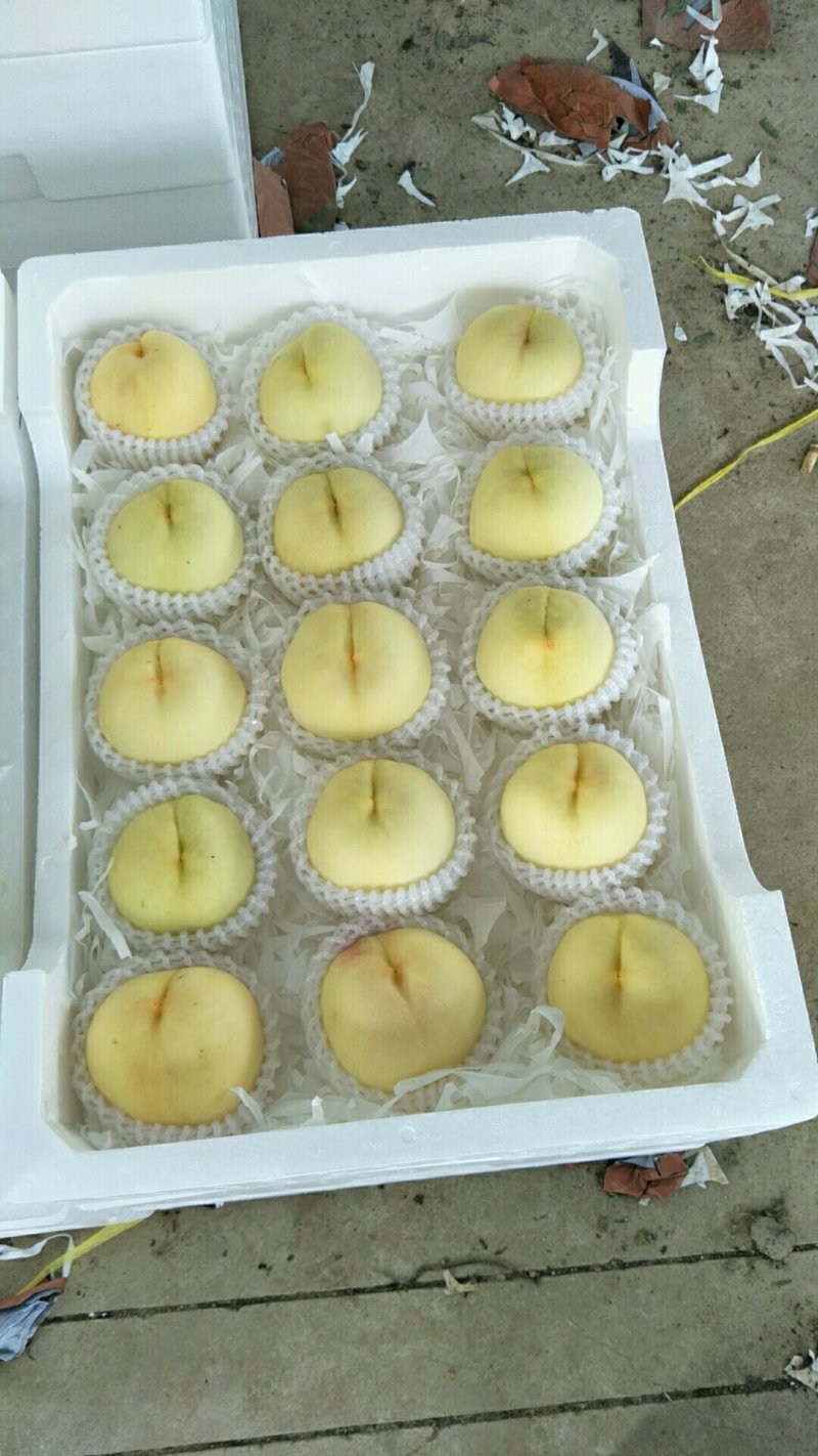 新沂精品水蜜桃量大优惠