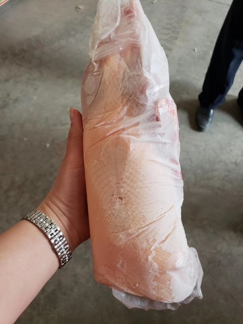 1300白条鸭