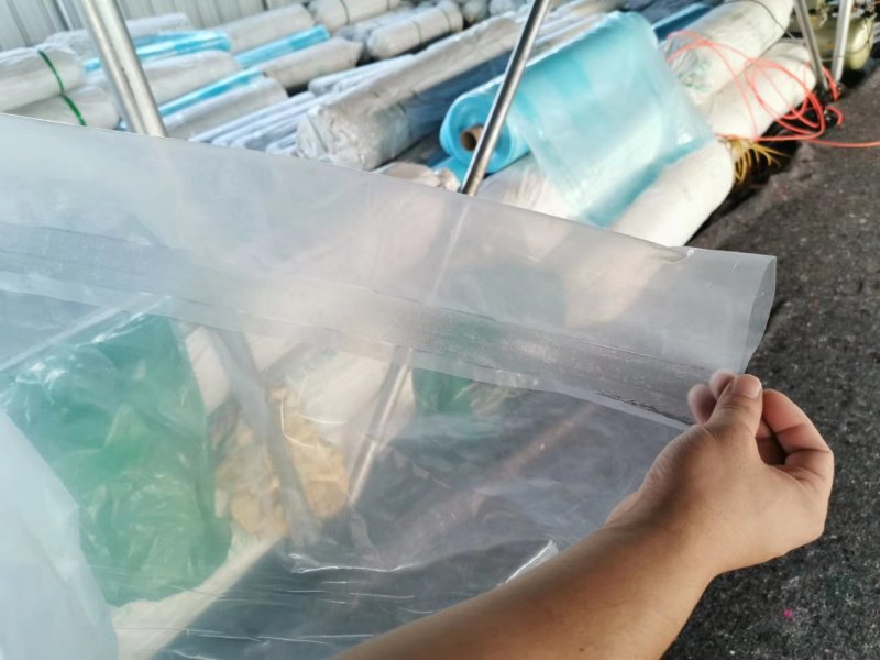 白膜