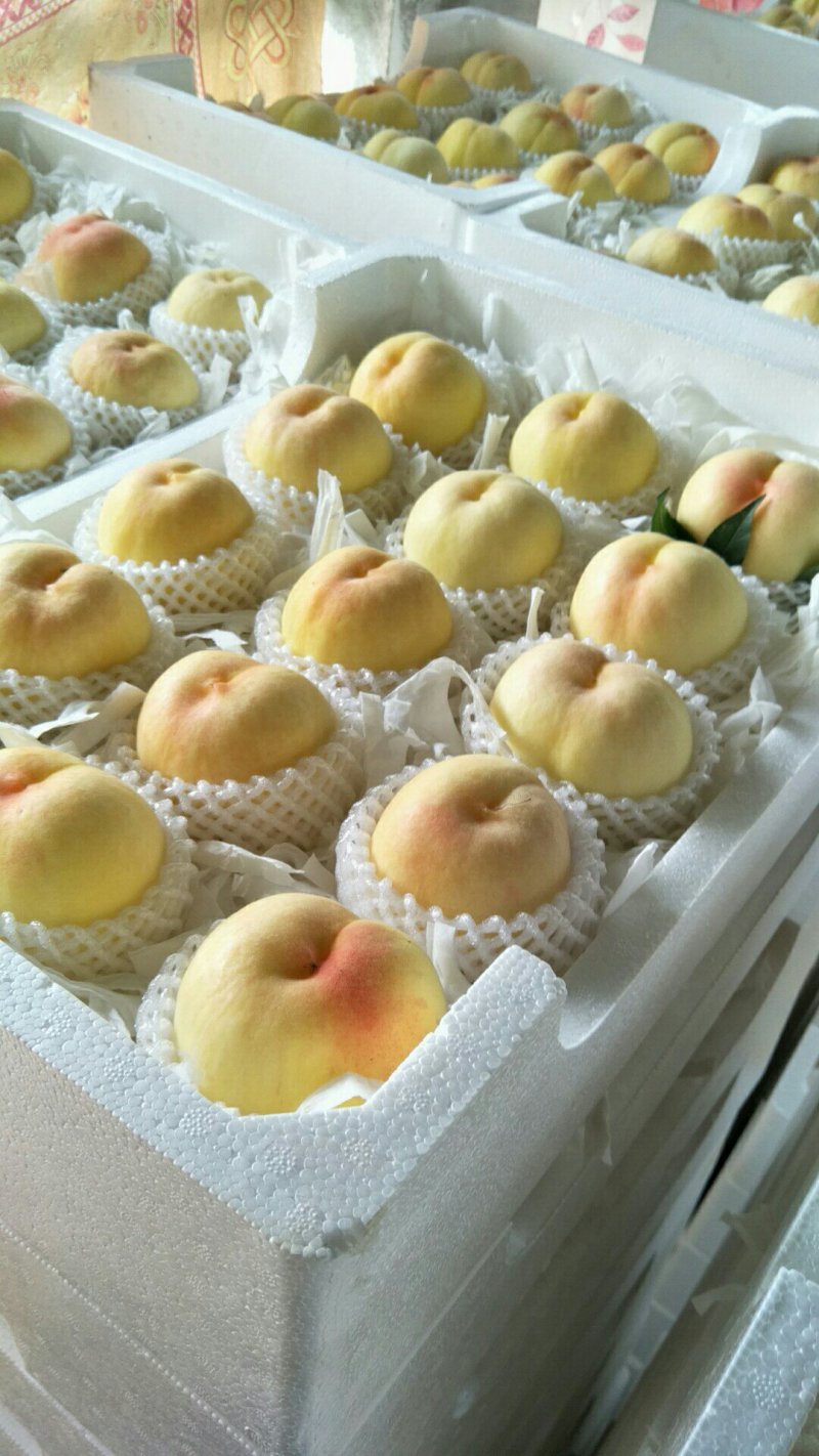 新沂优质水蜜桃降价了