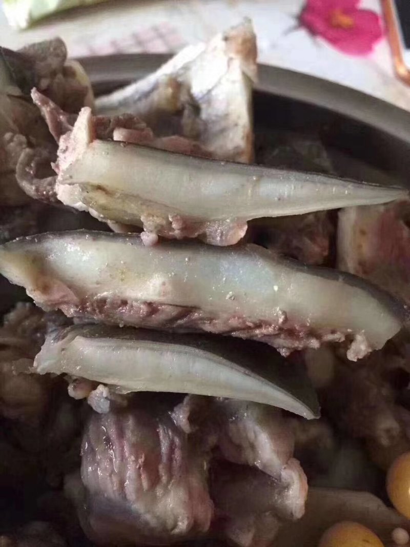 私房菜酒店农庄合作2—8斤外塘生态八年老生甲鱼团鱼老土鳖