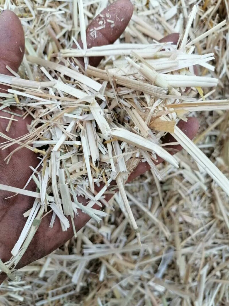小麦秸秆大量出售各种规格小麦秸秆